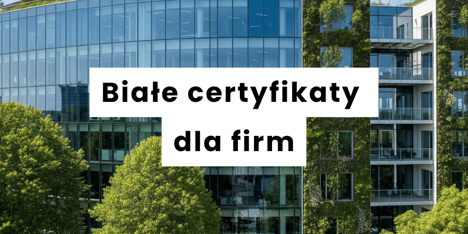 Białe certyfikaty dla firm (4)